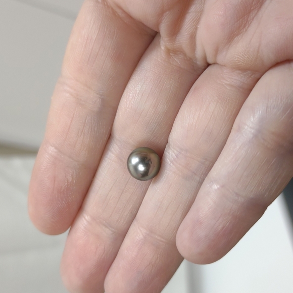 Tahitian Pearl Cultured 8mm Round Grey Radiant Colors JTV Jewelry Gems Shell - Picture 5 of 6